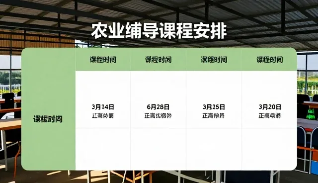 教学资源开发中常见问题与解决流程